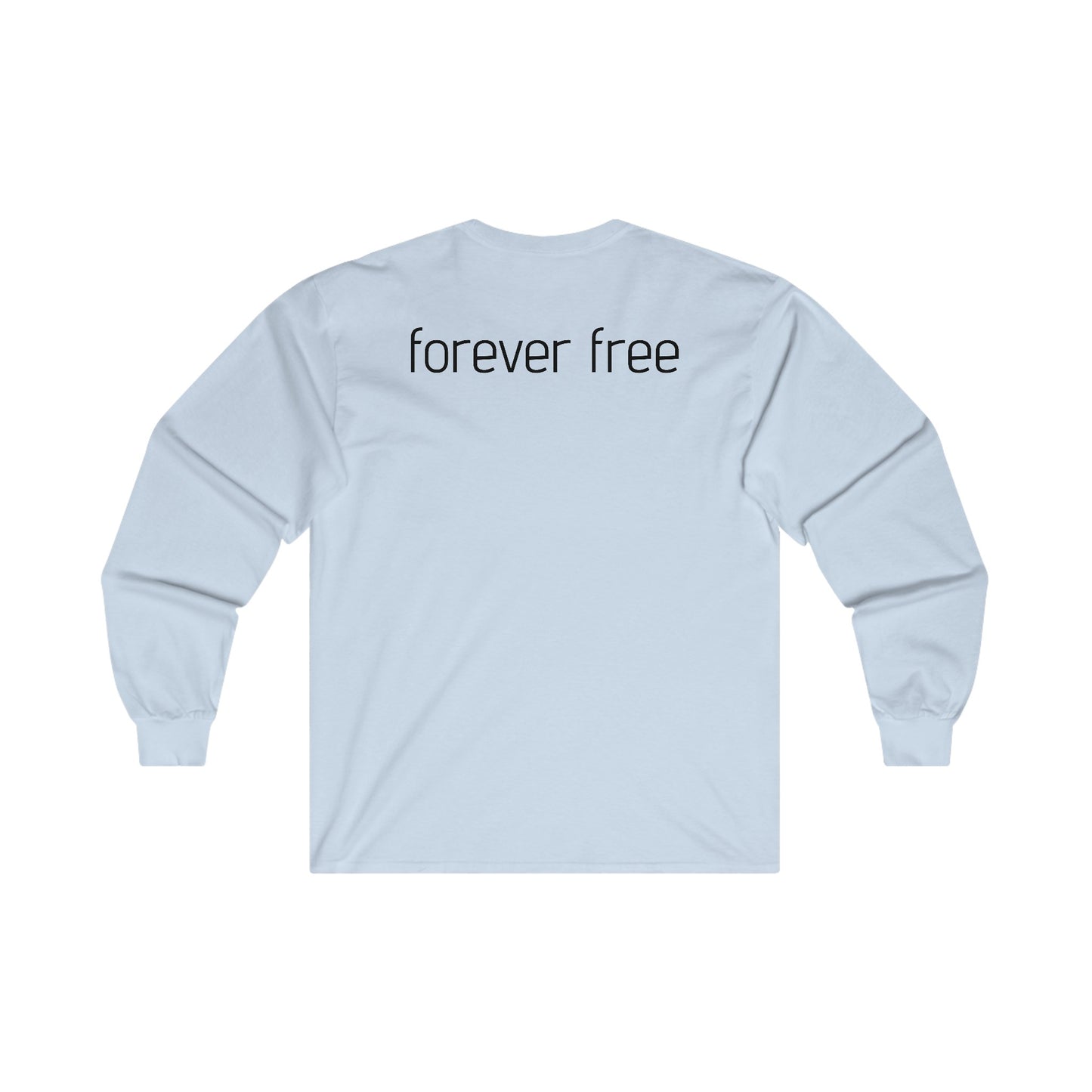 Raid Destroyer Long Sleeve Tee