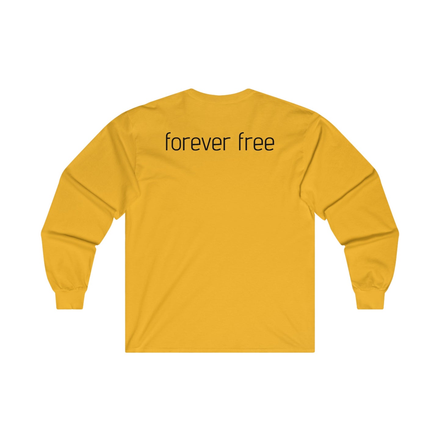 Raid Destroyer Long Sleeve Tee