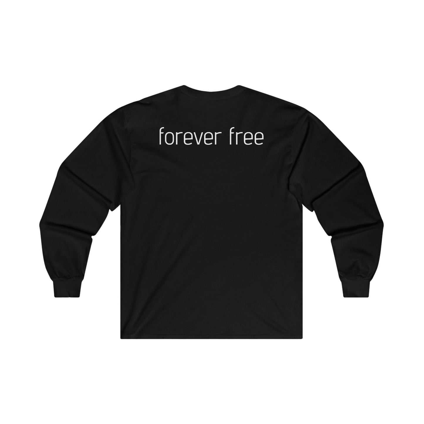 Raid Destroyer Long Sleeve Tee